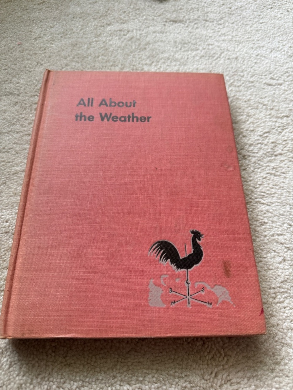& Other Stories Teal and White Illustrated Landscape Hardcover